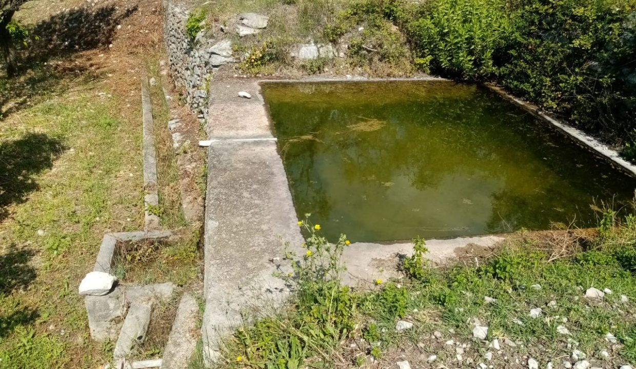 085c8a76-0414-4c9d-81dd-6a2f6759d42d