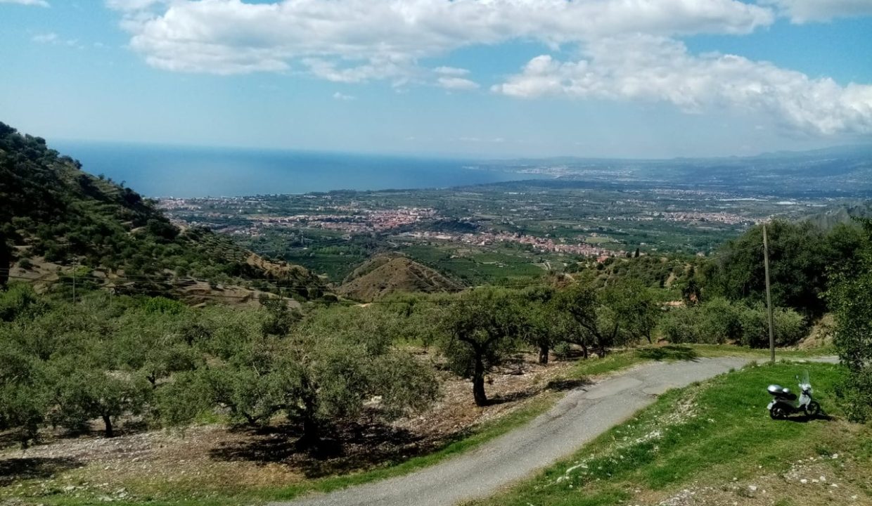 149ad5af-5156-4e1c-abed-2ebf9b01107b