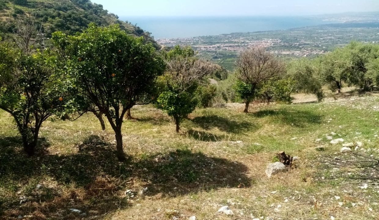 182057d0-9f0a-4431-a86c-c21b741ba1ca