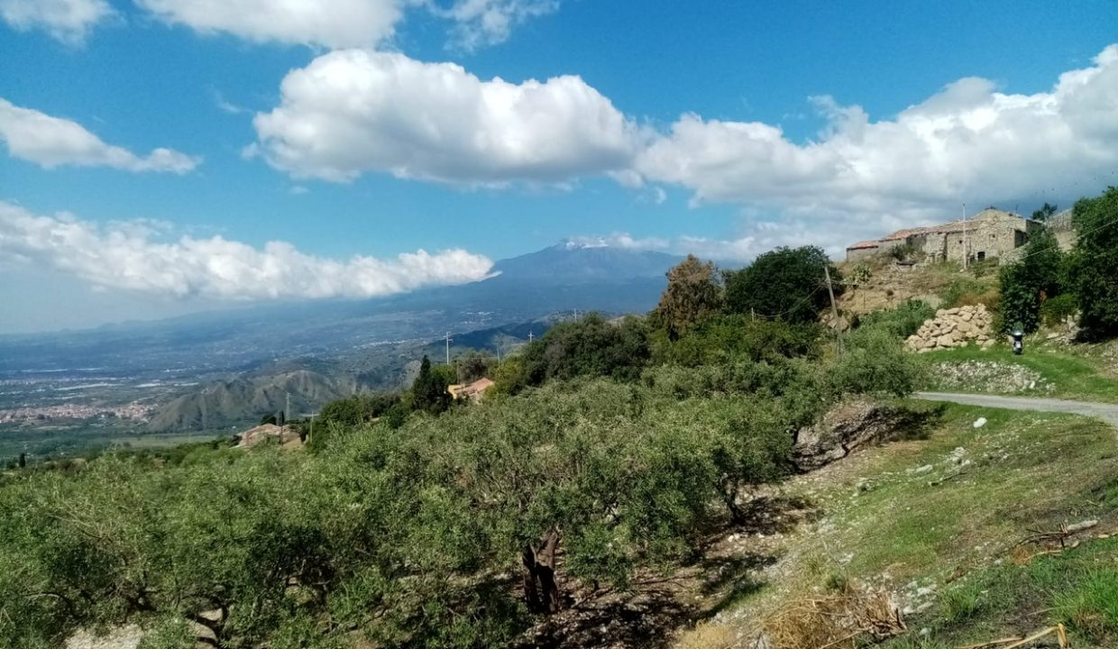 31e3dabf-f69e-4d9b-862a-b04b0db21157