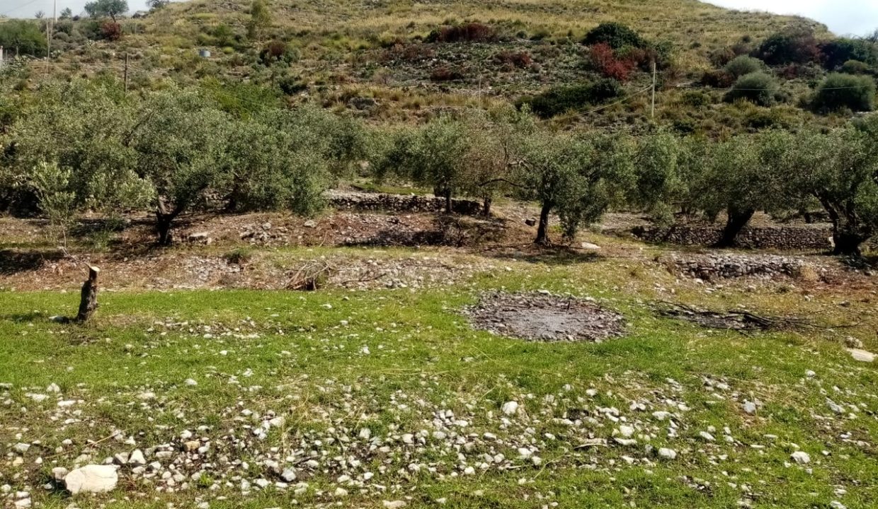 5f12c1a3-db89-4827-8edb-29744b006fea