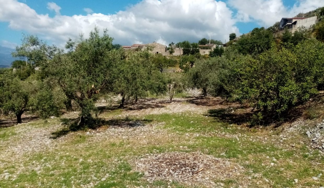 8b05f668-a749-4167-9a5f-07bf1adb14ca