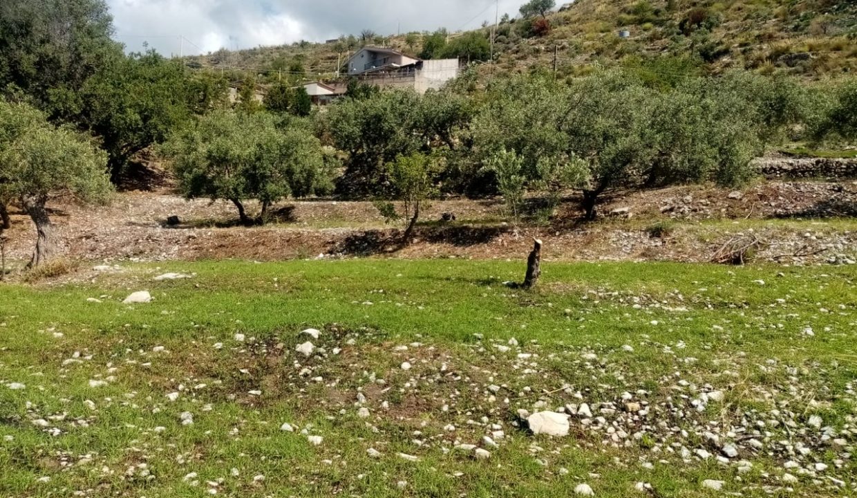 8d29f3f2-0710-47a4-b00c-e13155dcdf48