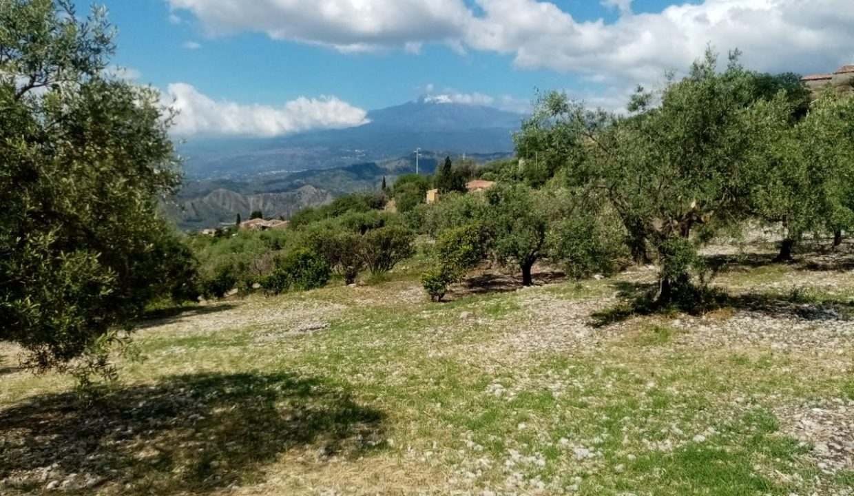 e41785a7-0470-4fb8-8056-3d53d9588ad0