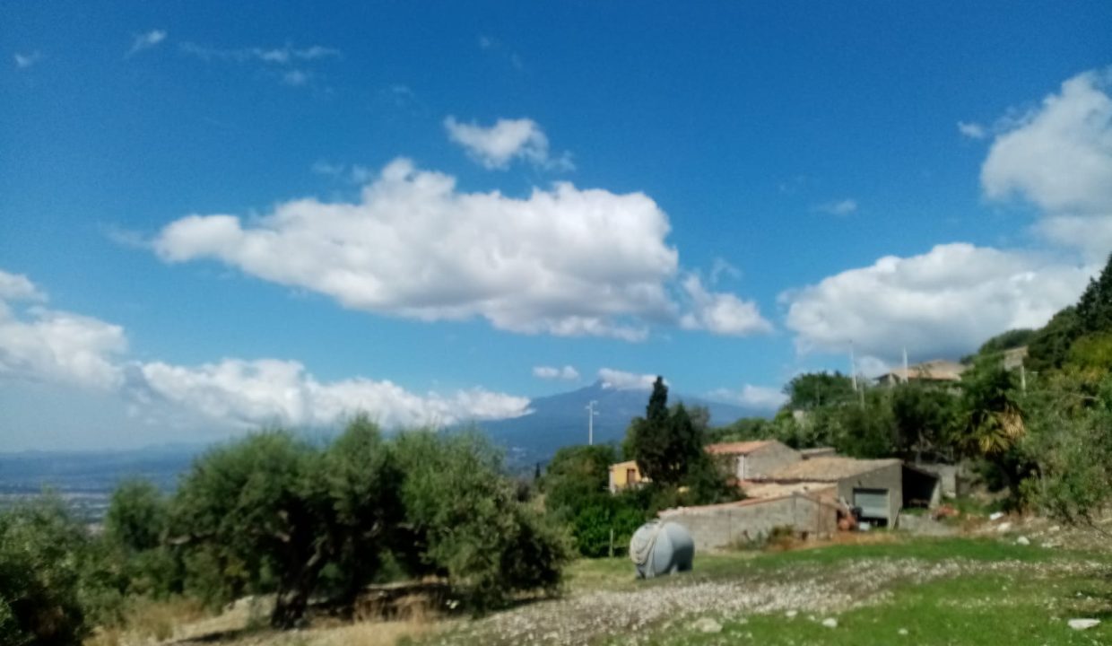 f1112355-f1b3-4d1d-ad0c-f2c10d877a37