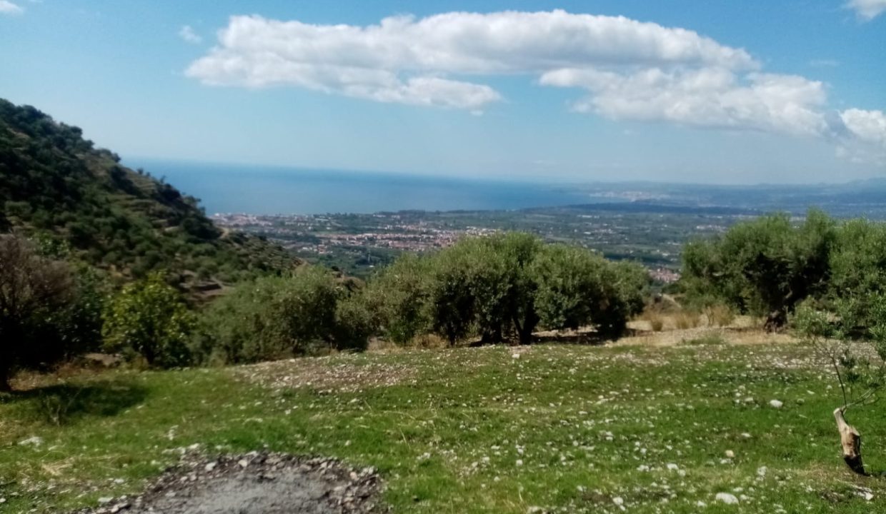 ff134fec-9b07-47c1-a4f7-b29bc850f9a4