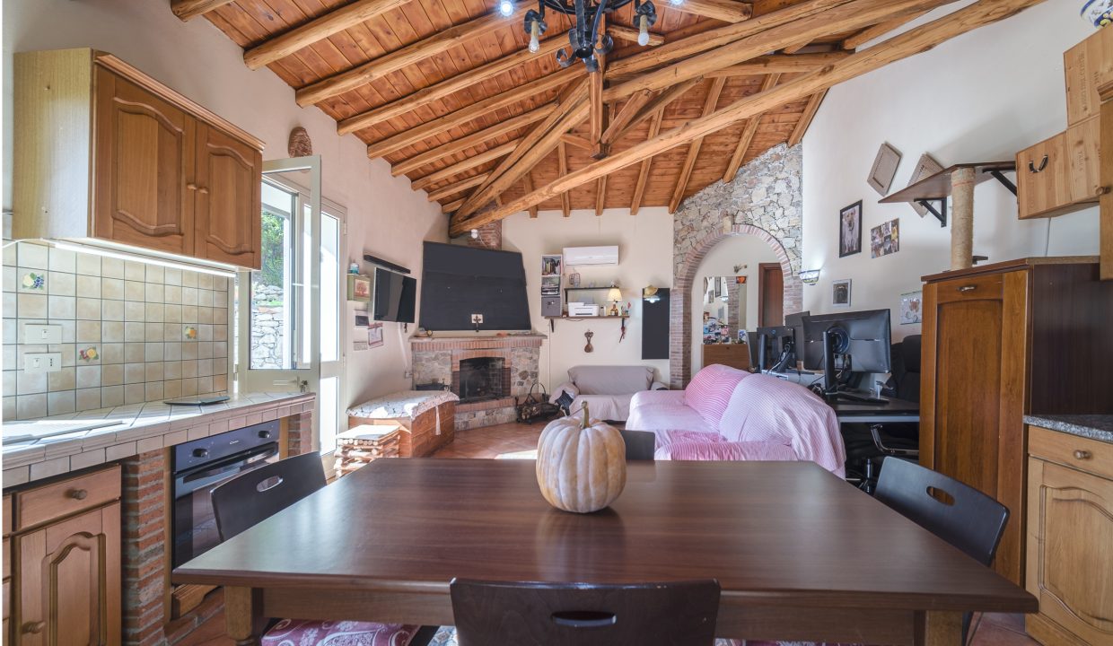 Tavola da disegno 11