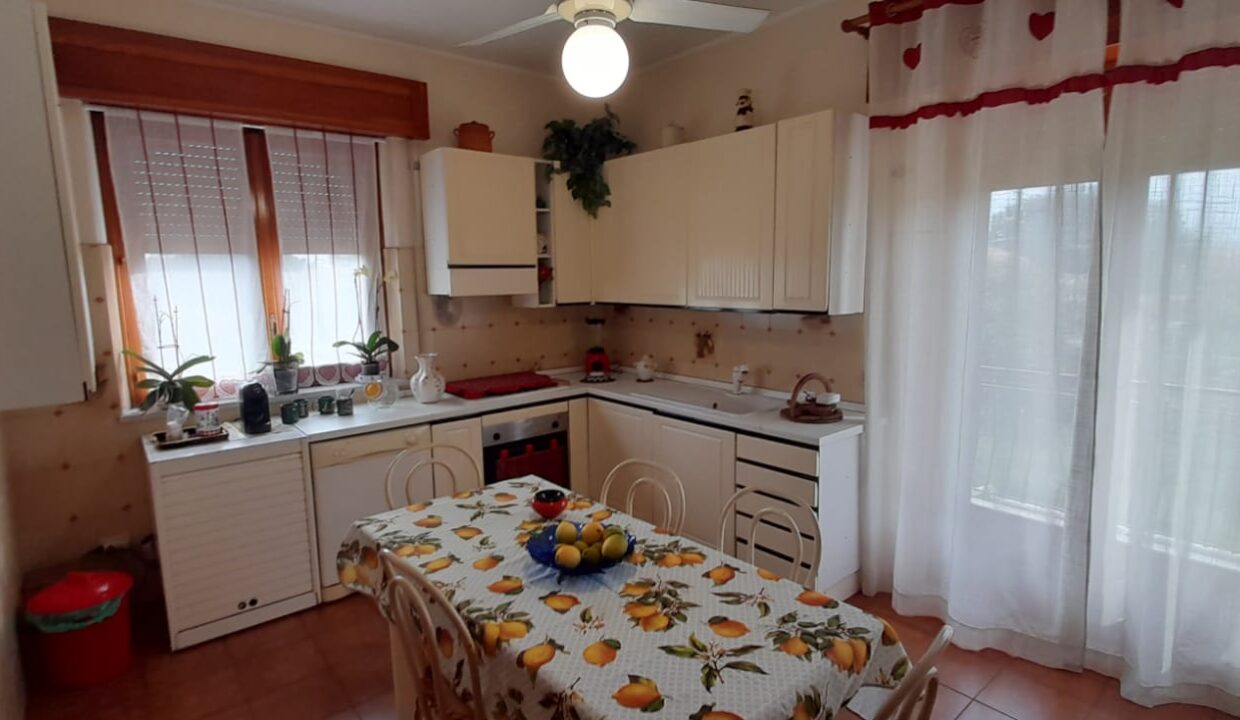 PHOTO-2024-06-25-19-07-34_1