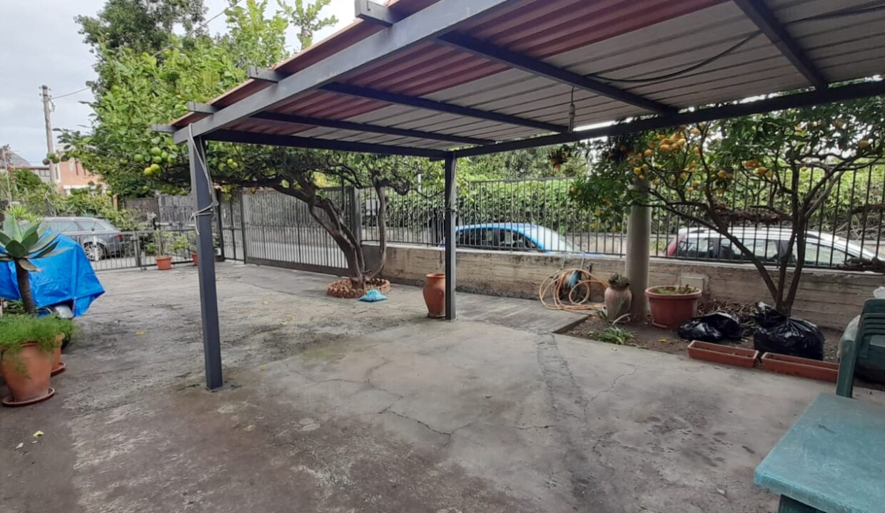 PHOTO-2024-06-25-19-07-39_4