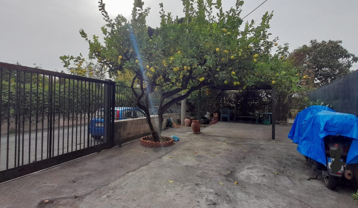 PHOTO-2024-06-25-19-07-40