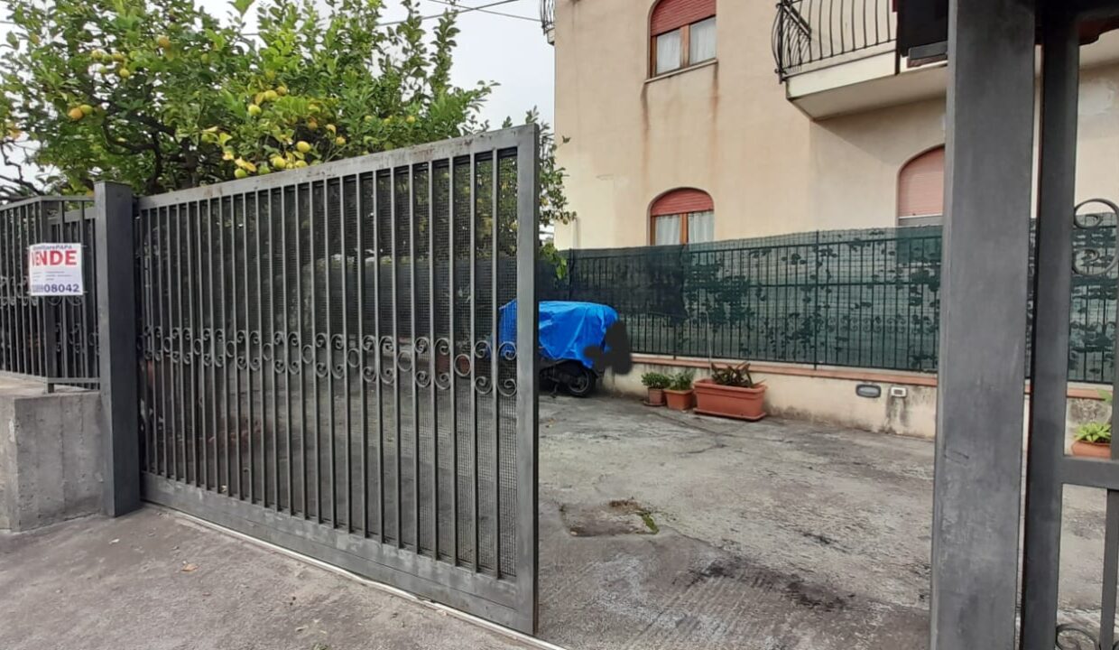 PHOTO-2024-06-25-19-07-40_1